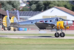 Beech 3