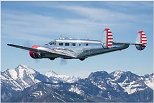 Beech 2