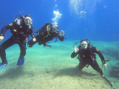 Fly & Dive ! 2024